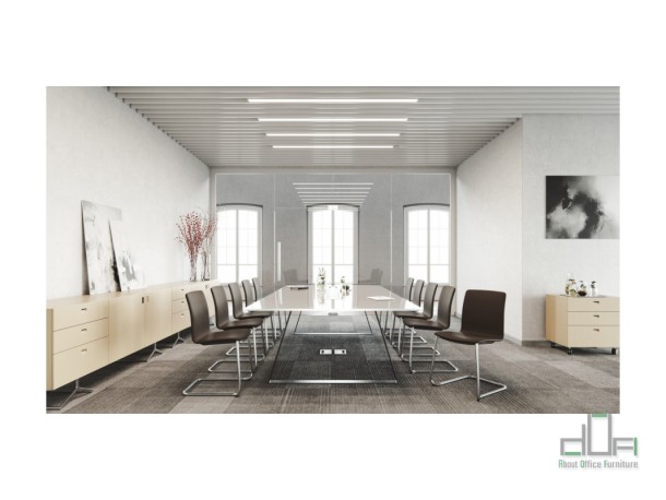 Scaun meeting COM