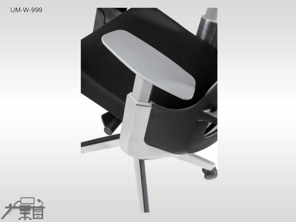 Scaun ergonomic SPINELLY UM-W-999