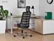 Scaun ergonomic SPINELLY UM-W-999