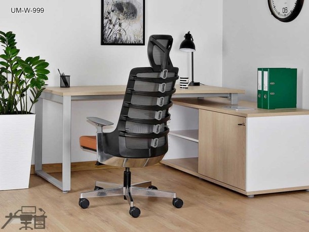 Scaun ergonomic SPINELLY UM-W-999