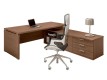 Birou managerial ODEON